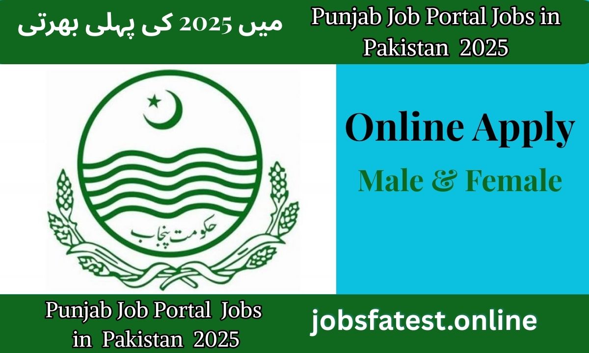 Punjab Job Portal Pakistan Jobs 2025 – Apply Online for Latest Government Vacancies