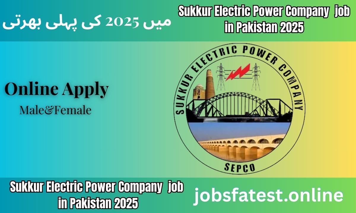 Sukkur Electric Power Company (SEPCO) Jobs 2025 – Apply Online for Latest Career Opportunities