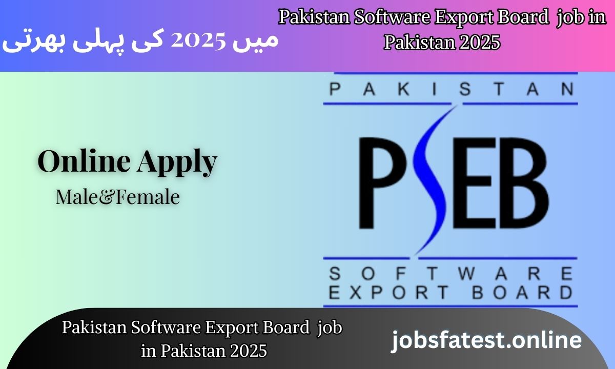 Pakistan Software Export Board Jobs 2025: Top IT & Software Career Opportunities