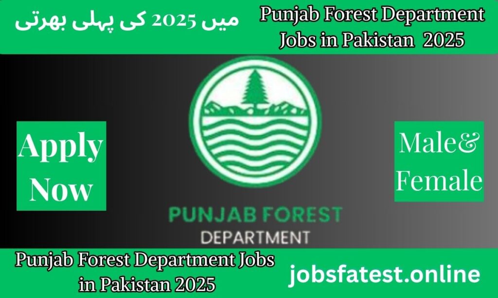 Punjab Forest Department Lahore Jobs 2025 – Latest Government Vacancies | Apply Online